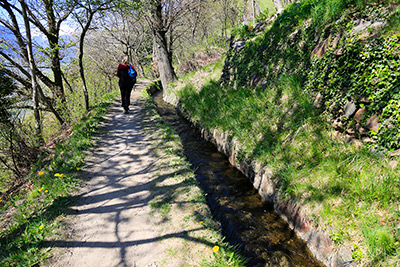 Wandern am Waalweg