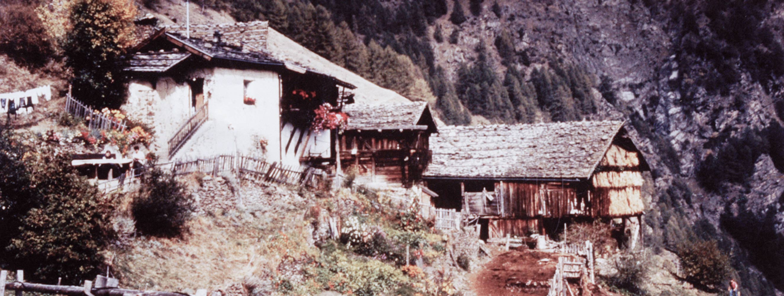 Geschichte vom Pirchhof